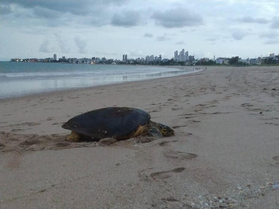 Joao Pessoa, A Dois Passos Do Paraiso, 2 Suites Com A/C, Vista Panoramica Para O Mar Do Bessa, Portaria 24H E 2 Vagas De Garagem Экстерьер фото